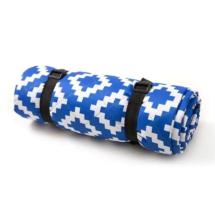blue picnic blanket